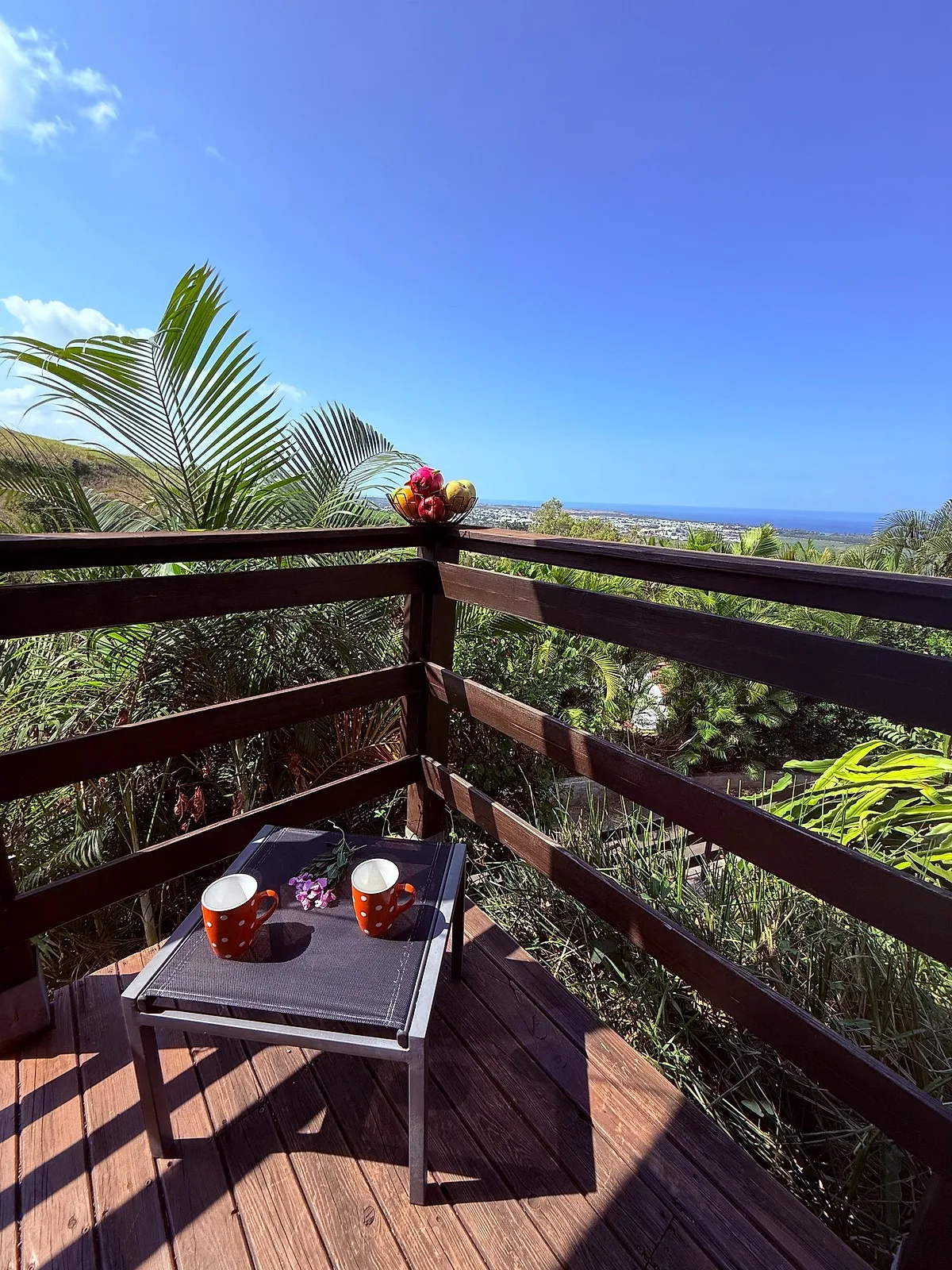 La terrasse du bungalow Manguier, ouverte sur la verdure et l'océan